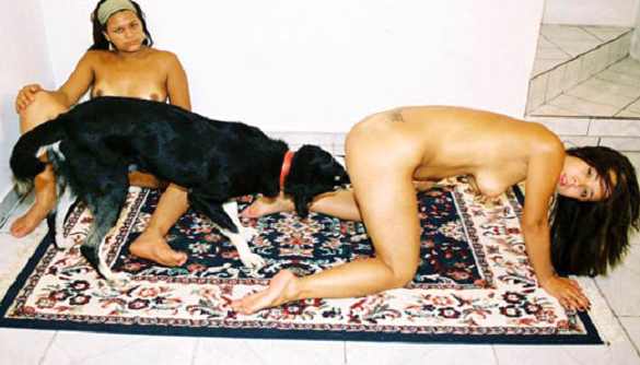 bangla sex story club